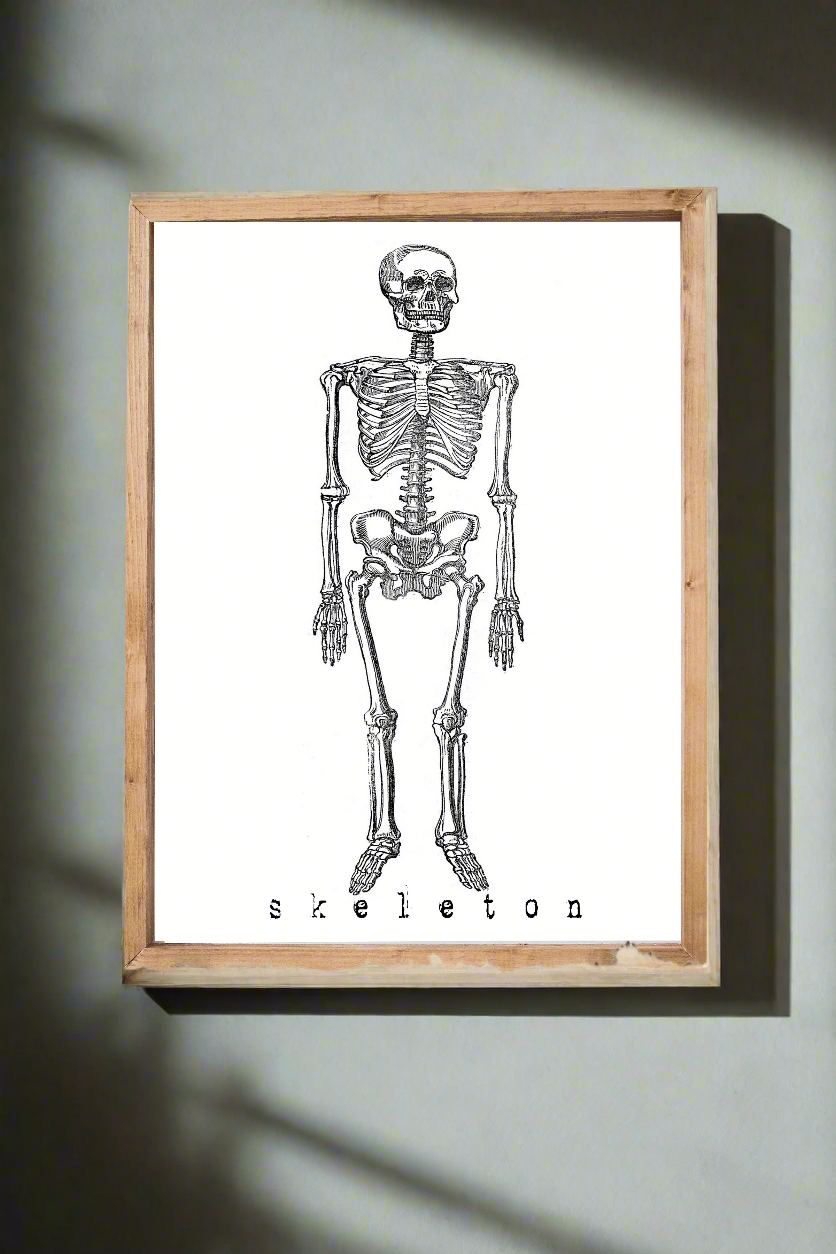 1 Skeleton