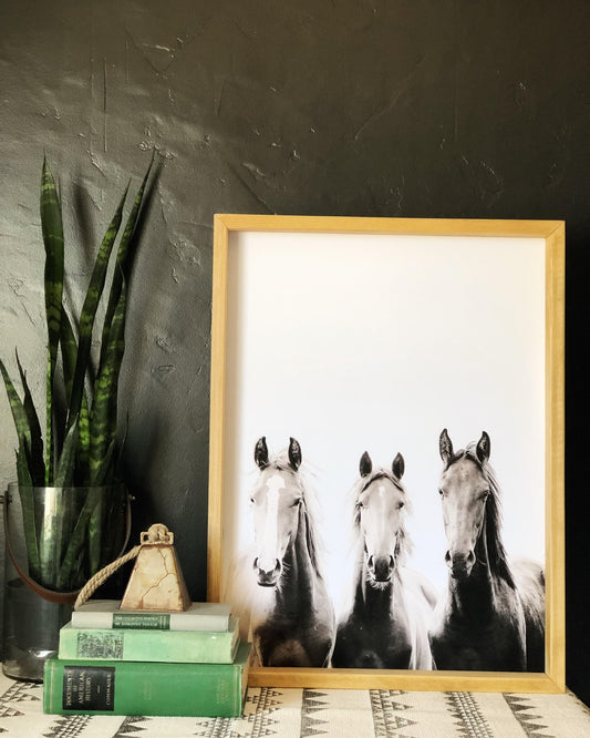 Horses
