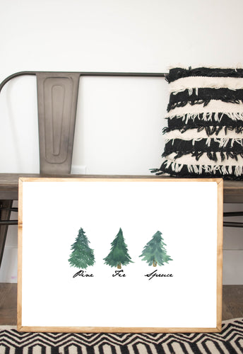 pine fir spruce 3 trees 