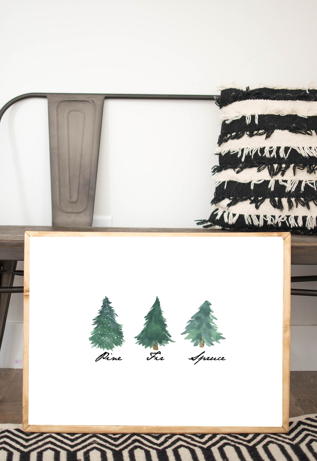 pine fir spruce 3 trees 