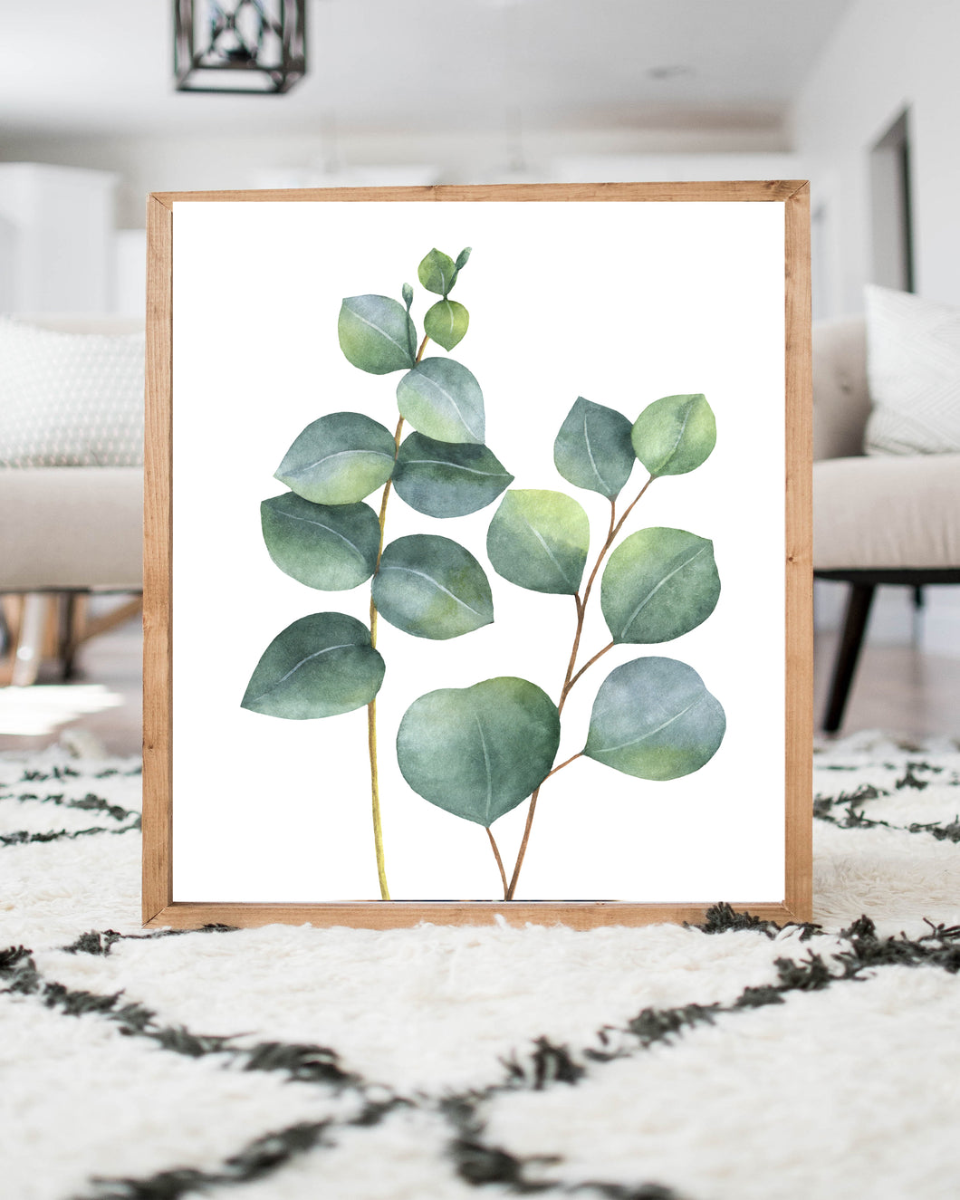 Silver Dollar Eucalyptus