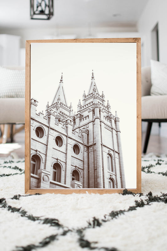 Salt Lake Temple #3