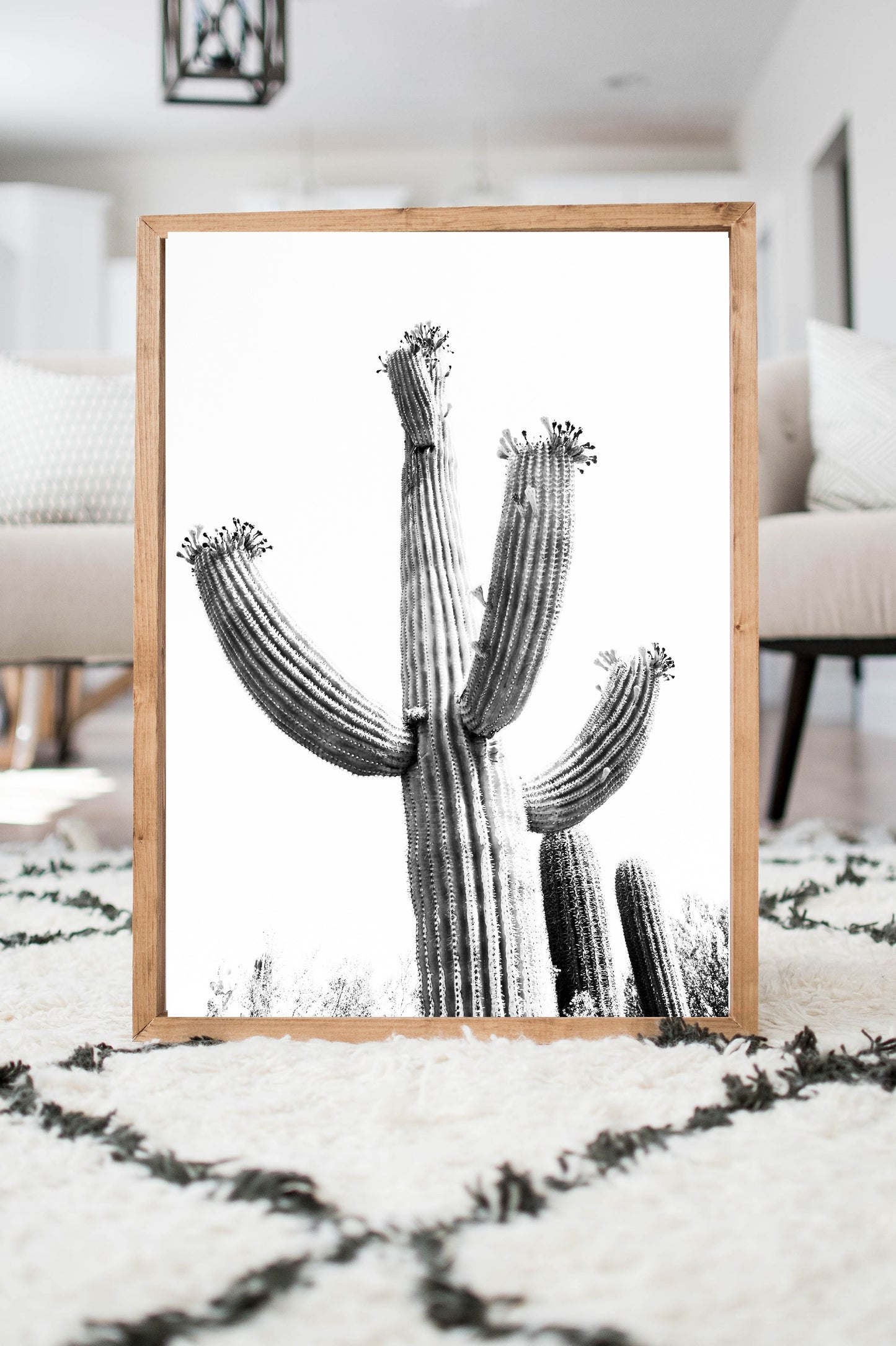 Cactus